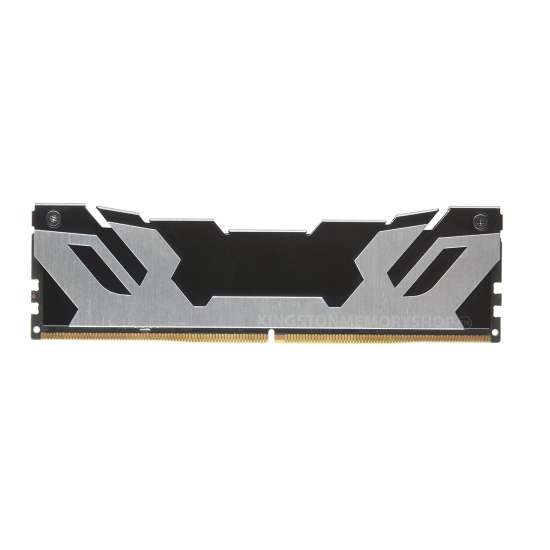 Kingston renegade silver ddr5